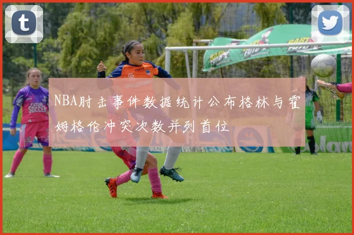 NBA肘击事件数据统计公布格林与霍姆格伦冲突次数并列首位