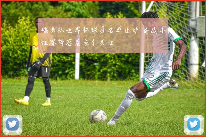 瑞典队世界杯球员名单出炉 备战小组赛阵容看点引关注