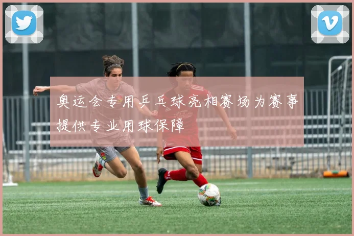 奥运会专用乒乓球亮相赛场为赛事提供专业用球保障