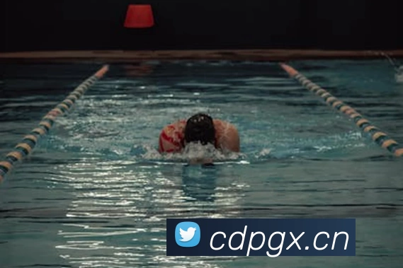 九游会J9「中国」官方网站平台生态图